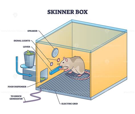 skinner box schedule